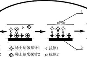 基于納米探針和磁性微納米顆粒的快速連續(xù)檢測(cè)技術(shù)