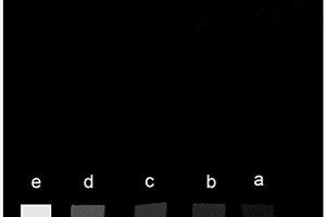 基于納米MV-MOF的用于生物標(biāo)記物檢測的熒光增強(qiáng)型試紙的制備方法