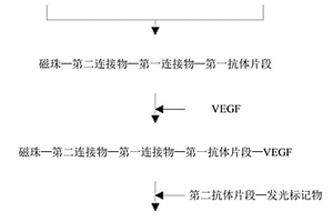 血管內(nèi)皮生長因子檢測試劑盒及其使用方法和應(yīng)用