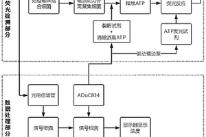 整合磁流動(dòng)力分離和信號(hào)處理的細(xì)菌檢測(cè)系統(tǒng)及方法