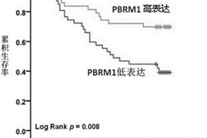 結(jié)腸癌預(yù)后預(yù)測(cè)標(biāo)志物及其檢測(cè)方法