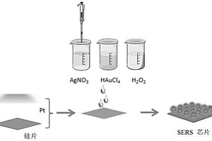 金納米刺拉曼增強檢測芯片的制備方法
