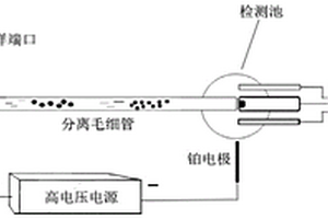 高鹽血液中心血管藥物含量的檢測方法