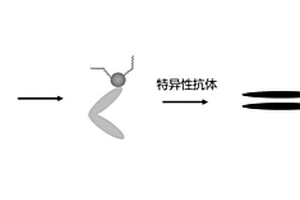 用于病毒檢測(cè)的半導(dǎo)體傳感器及其制備方法與應(yīng)用