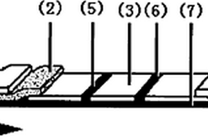 檢測洛克沙砷殘留的免疫膠體金試紙條及其制備方法