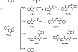 定量檢測生物硫醇的氟標簽及其用途