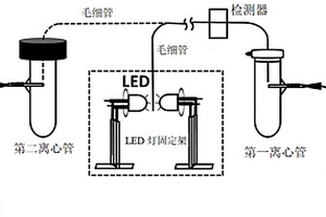 用于高電導(dǎo)值水樣中硝酸鹽及總氮檢測(cè)的毛細(xì)管電泳方法