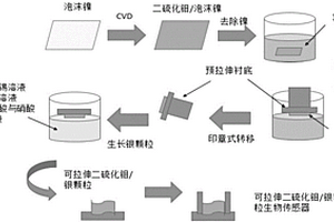 用于原位檢測的高靈敏可拉伸生物傳感器的制備方法