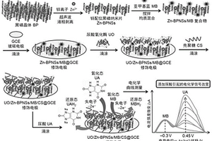 基于鋅配位黑磷納米片復(fù)合物與生物酶催化的比率電化學(xué)尿酸傳感器的制備方法