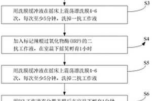 化學(xué)發(fā)光液的應(yīng)用方法