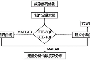 基于多核素磁共振成像定量檢測肺癌23Na分布的方法