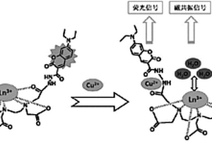 檢測銅離子的多功能成像探針及其合成方法