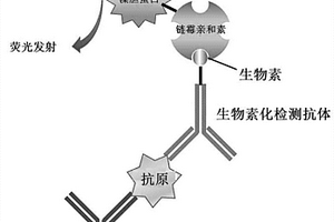 用于肝癌早期檢測(cè)的試劑盒及其制備方法