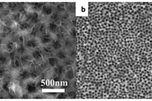 用于葡萄糖無酶檢測的NiCo<Sub>2</Sub>O<Sub>4</Sub>/Ni-P復合電極及其制備方法與應用