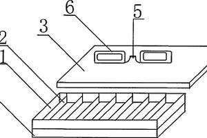 ku70免疫組化檢測(cè)保濕盒