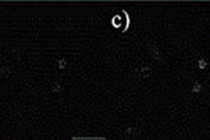 檢測(cè)細(xì)胞溶酶體內(nèi)甲醛的熒光探針及其制備方法