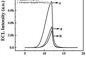 檢測(cè)β-淀粉樣蛋白的抗污染生物傳感器及其制備方法