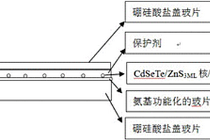 近紅外量子點(diǎn)單光子源的制備方法及檢測(cè)方法