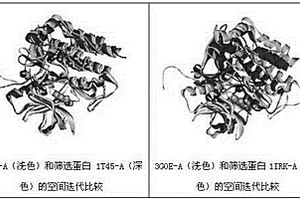 藥物靶標(biāo)的高通量檢索方法