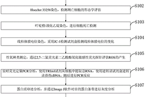 雞骨香揮發(fā)油抗腫瘤活性及其相關機制的測試方法及應用