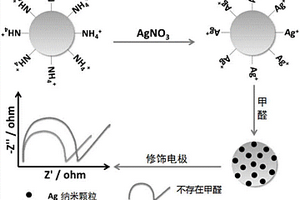 檢測(cè)甲醛的Ag+-SiO<sub>2</sub>的材料及制備方法、檢測(cè)方法