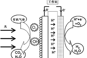 采用PFC光電催化法測(cè)定環(huán)境氣體中總有機(jī)氣體濃度的方法