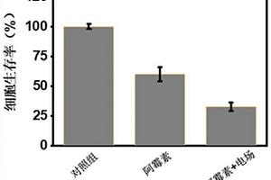 腫瘤電脈沖化學(xué)治療系統(tǒng)