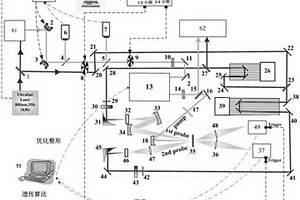 基于量子相干控制的分子動力學測量方法及其裝置