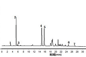 羅布麻葉藥材UPLC特征圖譜的構(gòu)建方法及其黃酮類(lèi)成分含量測(cè)定方法