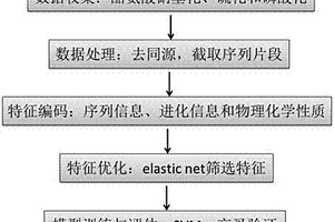 識別酪氨酸翻譯后修飾位點(diǎn)的預(yù)測算法