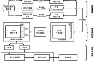 基于深度學(xué)習(xí)的蛋白質(zhì)相互作用位點(diǎn)預(yù)測(cè)方法