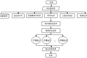 基于計算的預測熒光蛋白質的方法