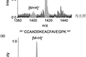基于光化學(xué)的蛋白質(zhì)標(biāo)記方法