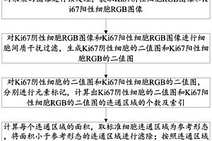 基于病理免疫組織化學的Ki67細胞核計數方法及系統(tǒng)