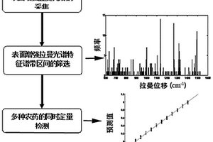 基于表面增強拉曼光譜預(yù)測混合農(nóng)藥溶液中各農(nóng)藥含量的方法