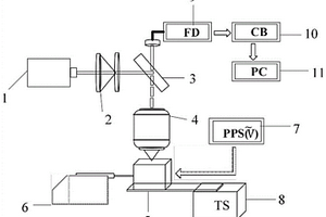 基于熒光的固—液界面局部ζ勢測量系統(tǒng)及方法