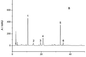 復方紅衣補血口服液中6種多酚類化合物的含量測定方法
