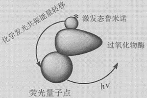 基于化學發(fā)光共振能量轉移原理構建生物納米器件的方法