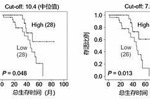 結(jié)外鼻型NK/T細(xì)胞淋巴瘤預(yù)后標(biāo)志物及其應(yīng)用和預(yù)后預(yù)測(cè)模型及其構(gòu)建方法