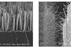 硅納米線—氧化鎢納米線刷狀多級(jí)結(jié)構(gòu)及其制備方法和在探測(cè)二氧化氮中的應(yīng)用