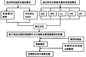 基于冠層多光譜的烤煙鮮煙葉葉綠素含量測定方法