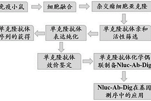 抗Dig的抗體及其在測(cè)序中的應(yīng)用