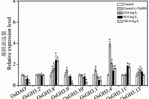 基于調(diào)控脅迫植物基因表達(dá)的化學(xué)調(diào)控劑的篩選方法