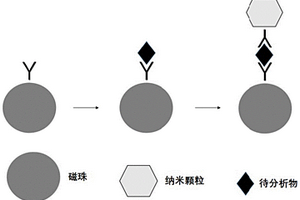 生物樣品檢測方法及檢測試劑盒