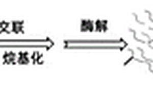 基于化學(xué)交聯(lián)質(zhì)譜解析的質(zhì)膜蛋白質(zhì)相互作用的鑒定方法