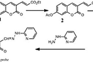 多功能超靈敏Zn2+雙光子檢測(cè)熒光分子探針的制備方法及應(yīng)用