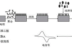 雙酚A分子印跡電化學(xué)傳感器的制備方法