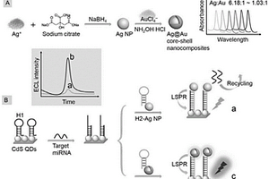 等離子體可調控的Ag@Au核殼納米材料增強量子點的電致化學發(fā)光傳感器的構建方法