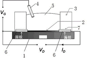 有機(jī)電化學(xué)晶體管及其制備方法