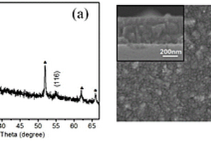 Fe<sub>2</sub>O<sub>3</sub>薄膜電極的制備方法及其在光電化學(xué)葡萄糖傳感器的應(yīng)用